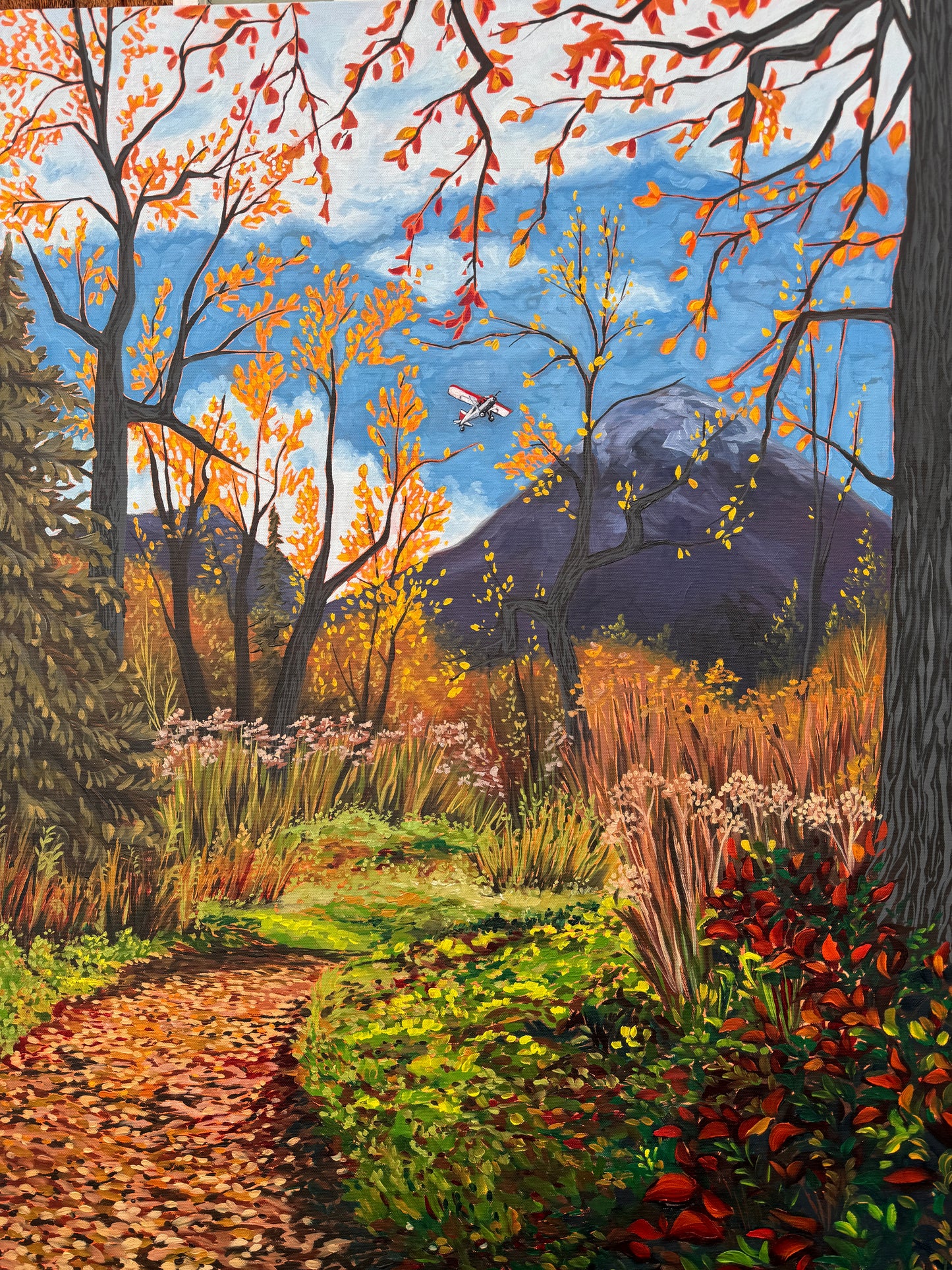 ORIGINAL "Fly Over" 30x40 in