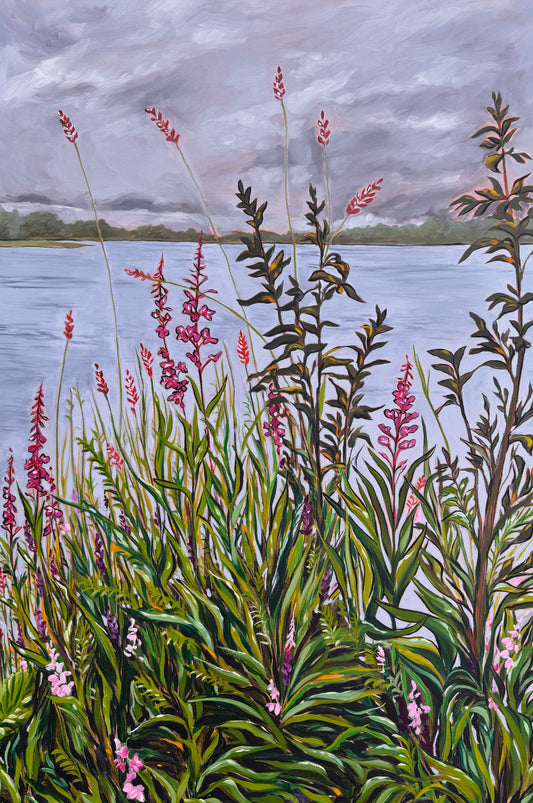 "Fluster of Fireweed" Print